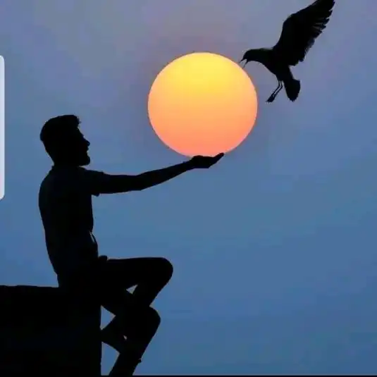 stylish unique dp